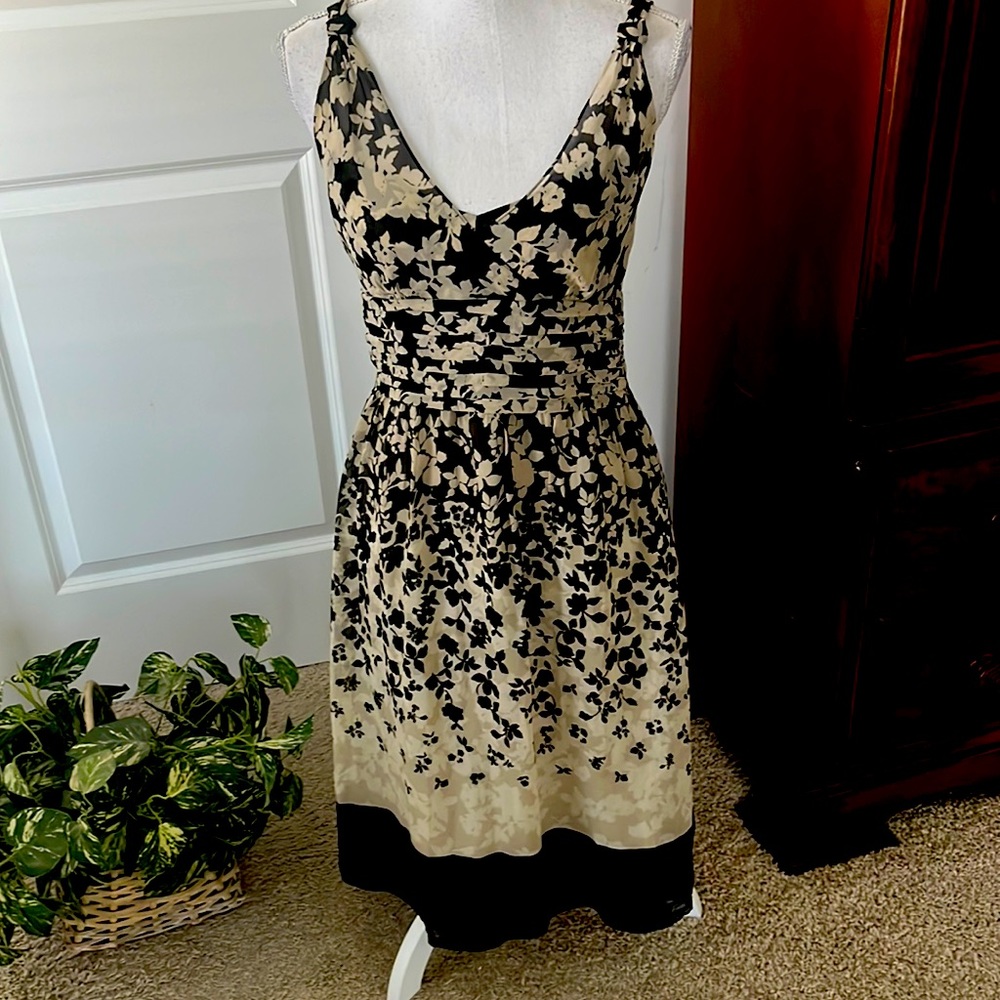 Ann Taylor silk dress